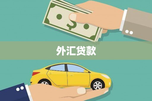 涵江外汇贷款