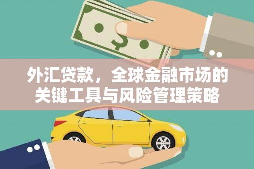 涵江外汇贷款，全球金融市场的关键工具与风险管理策略