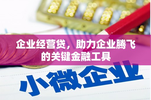 涵江企业经营贷，助力企业腾飞的关键金融工具