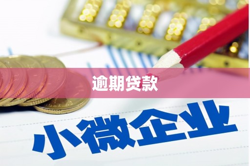 涵江逾期贷款