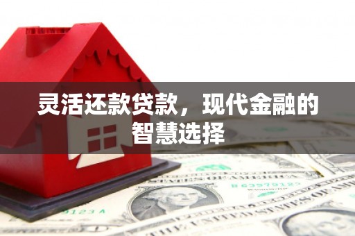 涵江灵活还款贷款，现代金融的智慧选择