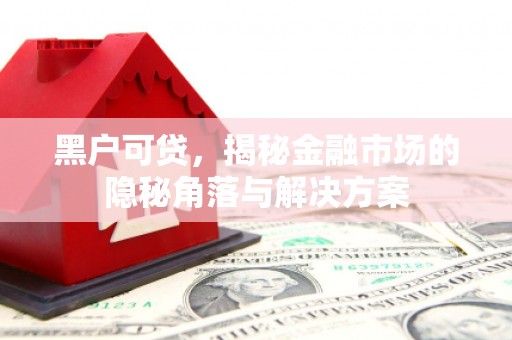 涵江黑户可贷，揭秘金融市场的隐秘角落与解决方案