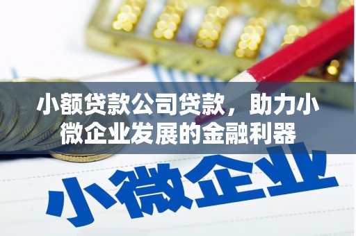 涵江小额贷款公司贷款，助力小微企业发展的金融利器