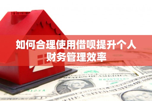 涵江如何合理使用借呗提升个人财务管理效率