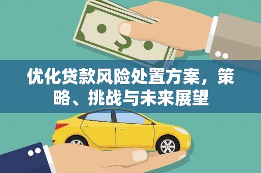涵江优化贷款风险处置方案，策略、挑战与未来展望