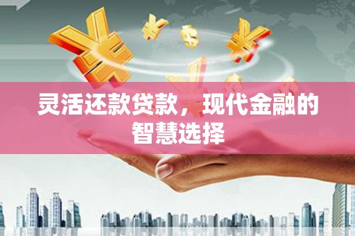 涵江灵活还款贷款，现代金融的智慧选择