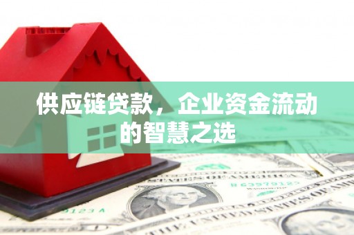 涵江供应链贷款，企业资金流动的智慧之选