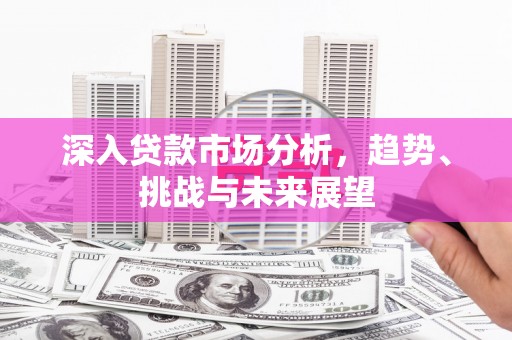 涵江深入贷款市场分析，趋势、挑战与未来展望