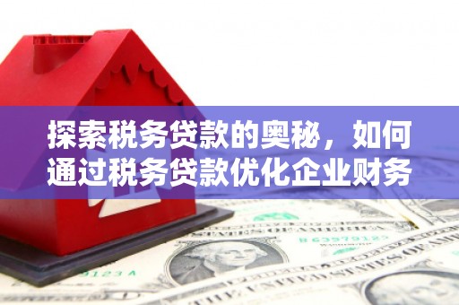 涵江探索税务贷款的奥秘，如何通过税务贷款优化企业财务