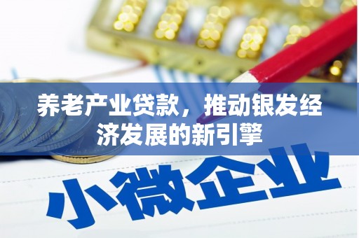 涵江养老产业贷款，推动银发经济发展的新引擎