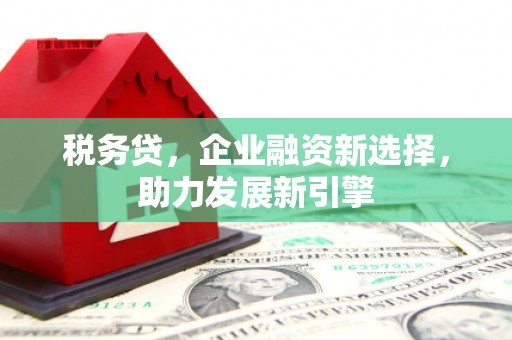 涵江税务贷，企业融资新选择，助力发展新引擎