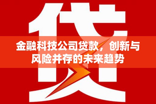 涵江金融科技公司贷款，创新与风险并存的未来趋势
