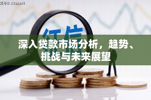 涵江深入贷款市场分析，趋势、挑战与未来展望