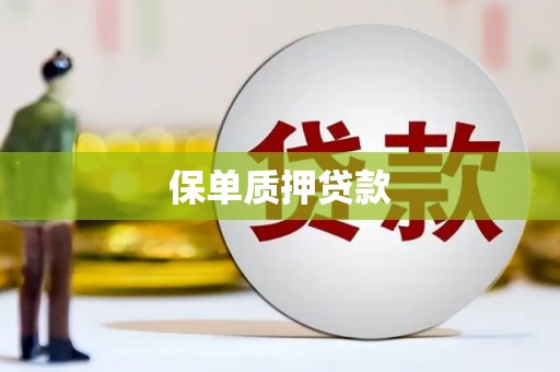 涵江保单质押贷款