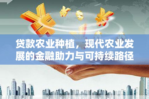 涵江贷款农业种植，现代农业发展的金融助力与可持续路径