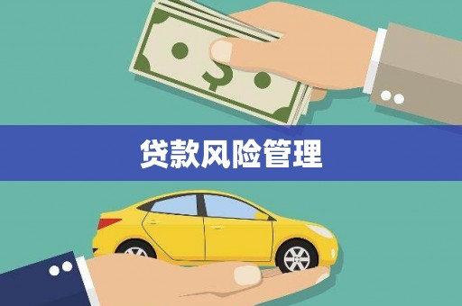 涵江贷款风险管理