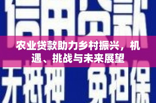 涵江农业贷款助力乡村振兴，机遇、挑战与未来展望