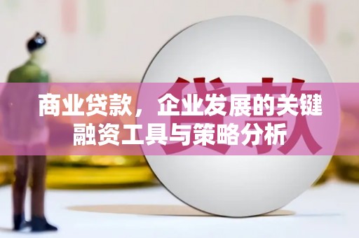 涵江商业贷款，企业发展的关键融资工具与策略分析
