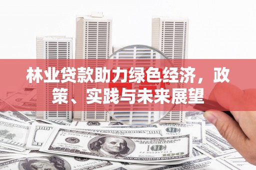 涵江林业贷款助力绿色经济，政策、实践与未来展望