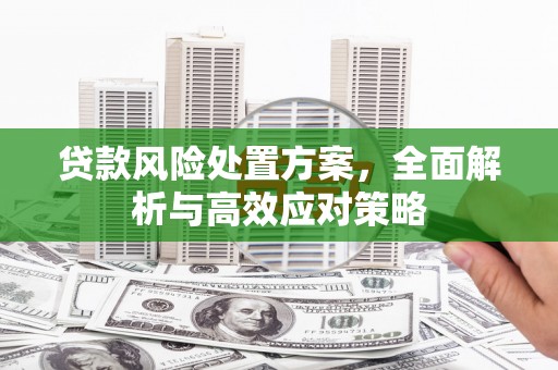 涵江贷款风险处置方案，全面解析与高效应对策略