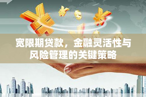 涵江宽限期贷款，金融灵活性与风险管理的关键策略
