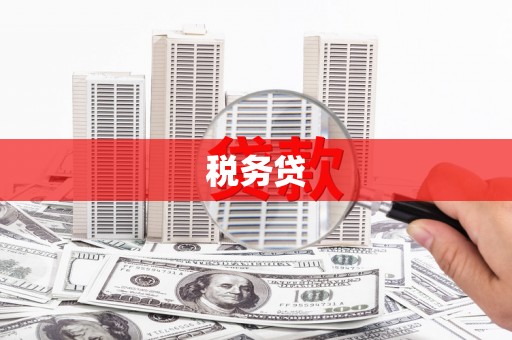 涵江税务贷