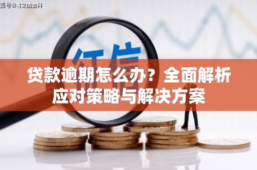 涵江贷款逾期怎么办？全面解析应对策略与解决方案
