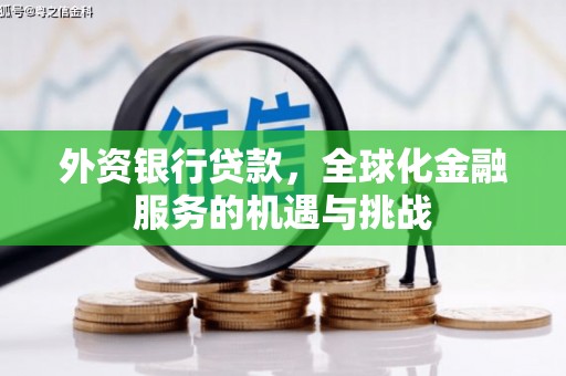 涵江外资银行贷款，全球化金融服务的机遇与挑战