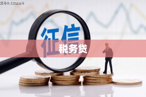 涵江税务贷