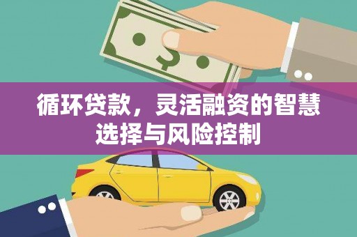 涵江循环贷款，灵活融资的智慧选择与风险控制