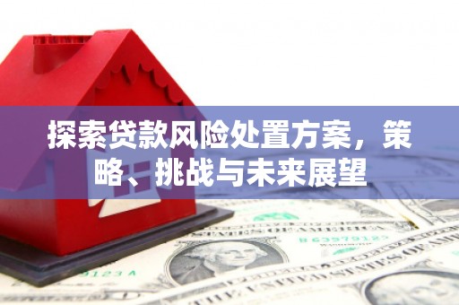 涵江探索贷款风险处置方案，策略、挑战与未来展望