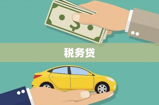 涵江税务贷