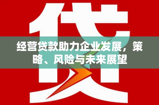 涵江经营贷款助力企业发展，策略、风险与未来展望