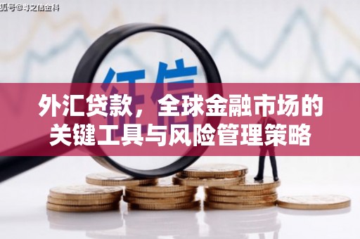涵江外汇贷款，全球金融市场的关键工具与风险管理策略