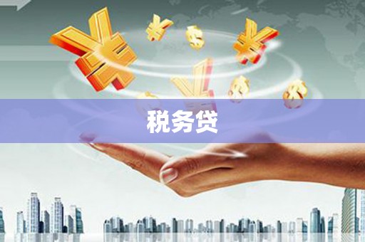 涵江税务贷