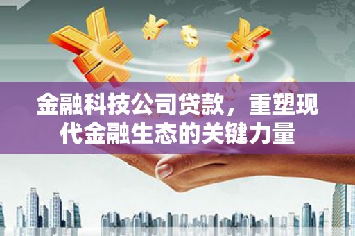 涵江金融科技公司贷款，重塑现代金融生态的关键力量