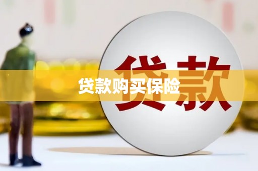 涵江贷款购买保险