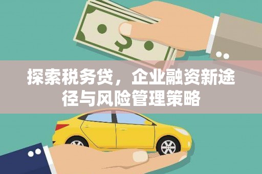 涵江探索税务贷，企业融资新途径与风险管理策略