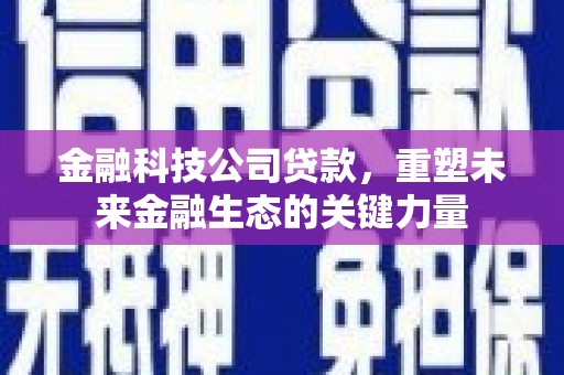 涵江金融科技公司贷款，重塑未来金融生态的关键力量