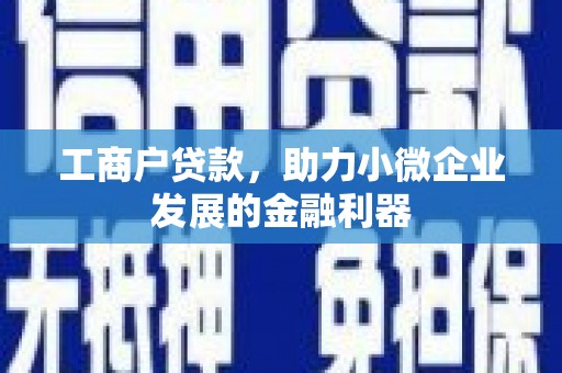 涵江工商户贷款，助力小微企业发展的金融利器