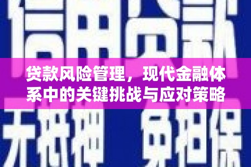 涵江贷款风险管理，现代金融体系中的关键挑战与应对策略