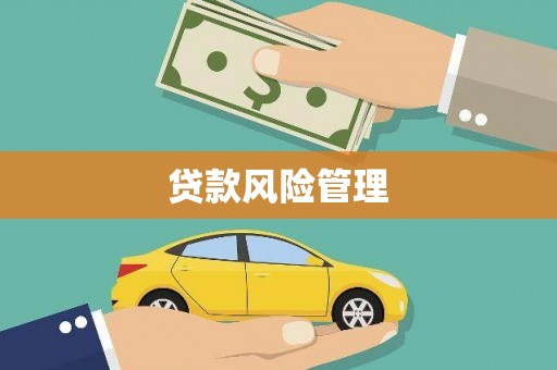 涵江贷款风险管理