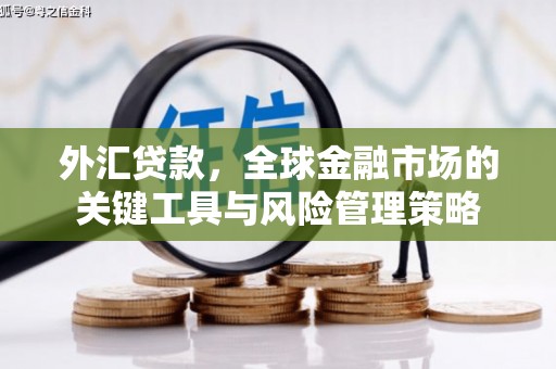 涵江外汇贷款，全球金融市场的关键工具与风险管理策略