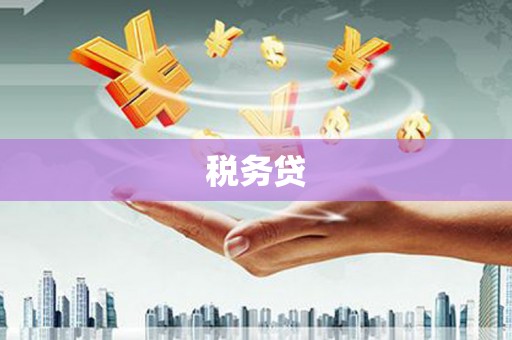 涵江税务贷