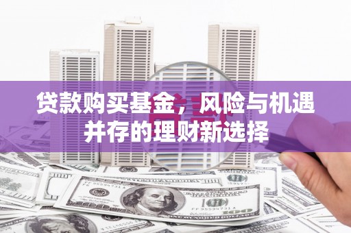 涵江贷款购买基金，风险与机遇并存的理财新选择