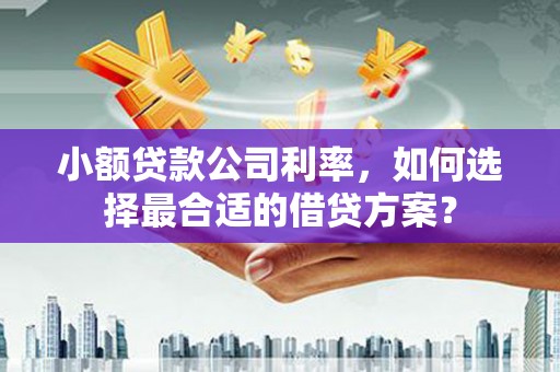 涵江小额贷款公司利率，如何选择最合适的借贷方案？