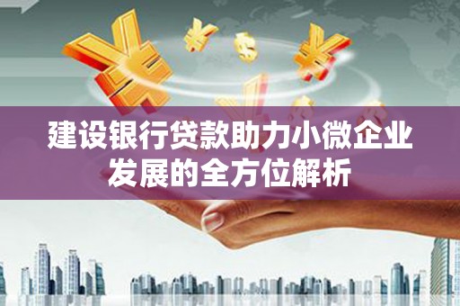 涵江建设银行贷款助力小微企业发展的全方位解析