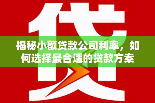 涵江揭秘小额贷款公司利率，如何选择最合适的贷款方案