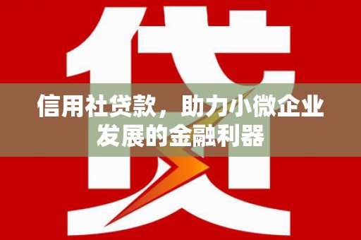 涵江信用社贷款，助力小微企业发展的金融利器