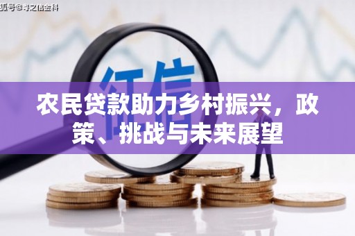 涵江农民贷款助力乡村振兴，政策、挑战与未来展望